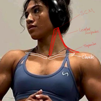 Click image for larger version

Name:	shouldersBackF1.png
Views:	131
Size:	673.2 KB
ID:	9687