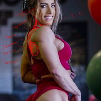 Click image for larger version

Name:	shouldersBackF2.png
Views:	130
Size:	713.8 KB
ID:	9688