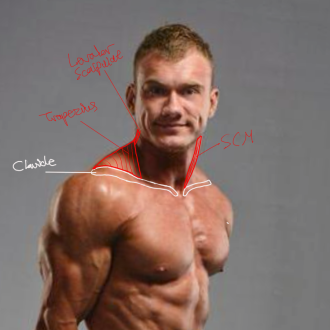 Click image for larger version

Name:	shouldersBackM2.png
Views:	148
Size:	480.0 KB
ID:	9691