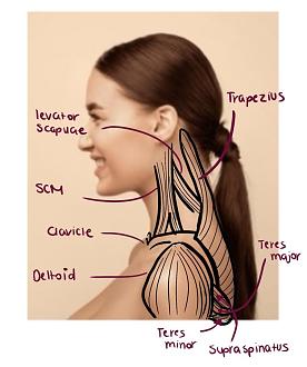 Click image for larger version

Name:	IMG_0783.jpg
Views:	156
Size:	61.4 KB
ID:	9702
