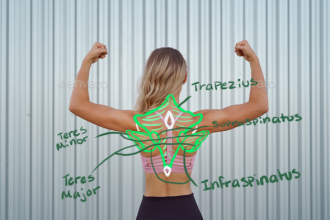 Click image for larger version

Name:	Woman_Back.png
Views:	158
Size:	313.2 KB
ID:	9696