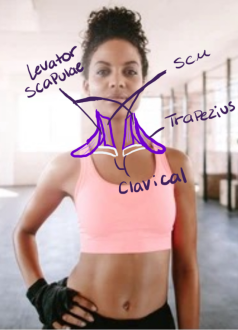 Click image for larger version

Name:	Woman_Front.png
Views:	137
Size:	510.0 KB
ID:	9697
