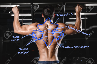Click image for larger version

Name:	Man_Back.png
Views:	134
Size:	890.3 KB
ID:	9699