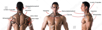 Click image for larger version

Name:	men.png
Views:	137
Size:	565.3 KB
ID:	9717