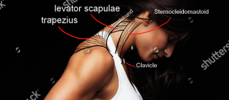 Click image for larger version

Name:	w.png
Views:	141
Size:	499.5 KB
ID:	9720