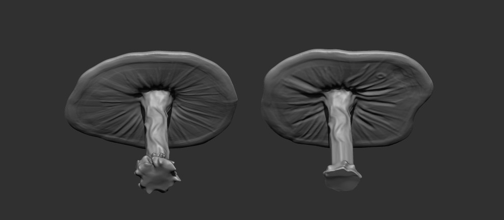 Click image for larger version  Name:	Mushroom_WIP.jpg Views:	0 Size:	30.4 KB ID:	17971