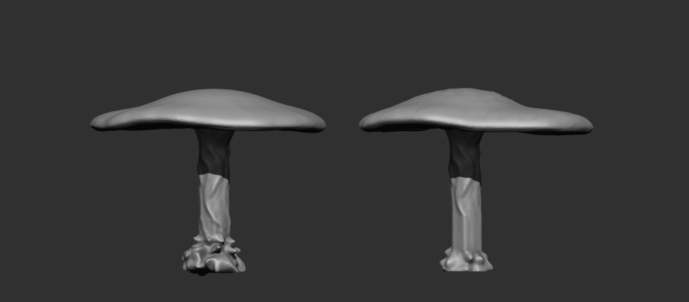 Click image for larger version  Name:	Mushroom_WIP1.jpg Views:	0 Size:	18.4 KB ID:	17972