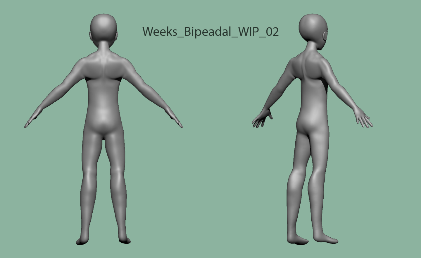 Click image for larger version

Name:	Weeks_Bipeadal_WIP_02a.png
Views:	38
Size:	186.7 KB
ID:	19449