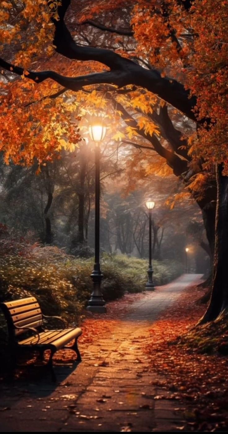 Click image for larger version  Name:	AutumNight_Park.jpg Views:	0 Size:	213.7 KB ID:	41585