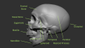 Click image for larger version

Name:	LateralLabels.png
Views:	194
Size:	274.8 KB
ID:	1197