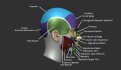 Click image for larger version

Name:	Head_B.png
Views:	165
Size:	433.9 KB
ID:	1866