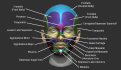 Click image for larger version

Name:	Head_A.png
Views:	157
Size:	551.1 KB
ID:	1867
