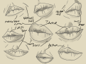 Click image for larger version

Name:	Untitled6_20240910133520.png
Views:	87
Size:	448.5 KB
ID:	3386