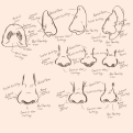 Click image for larger version

Name:	Untitled692_20240910095916.png
Views:	94
Size:	336.5 KB
ID:	3423