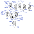 Click image for larger version

Name:	IMG_0714.png
Views:	87
Size:	323.7 KB
ID:	3430
