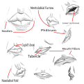Click image for larger version

Name:	Anatomy_Sketches_Mouth.png
Views:	84
Size:	396.9 KB
ID:	3464