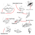 Click image for larger version

Name:	Anatomy_Sketches_Mouth.png
Views:	50
Size:	396.9 KB
ID:	3464