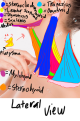 Click image for larger version

Name:	IMG_0748.png
Views:	47
Size:	530.8 KB
ID:	8260