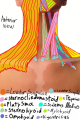 Click image for larger version

Name:	IMG_0743.png
Views:	47
Size:	487.1 KB
ID:	8263