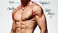 Click image for larger version

Name:	ShoulderSIDEm.jpg
Views:	174
Size:	29.0 KB
ID:	9644