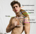 Click image for larger version

Name:	man5.png
Views:	149
Size:	480.3 KB
ID:	9675