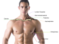 Click image for larger version

Name:	man4.png
Views:	154
Size:	391.7 KB
ID:	9676